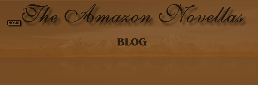 The Amazon Novellas - Blog